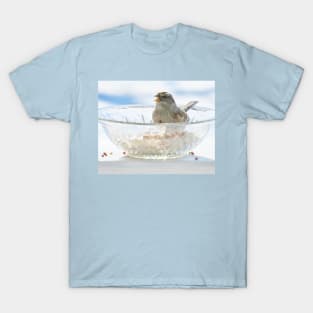 Seeds to Savour No.6 Sparrow T-Shirt